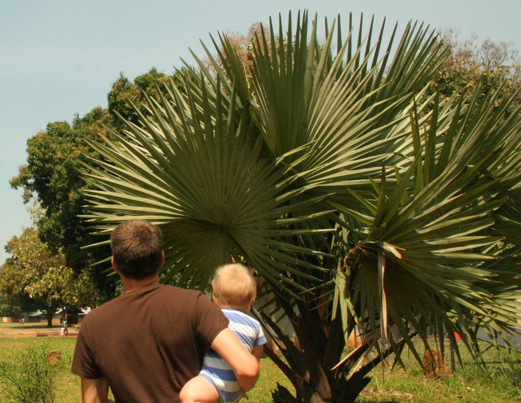 December/January Writing Roundup