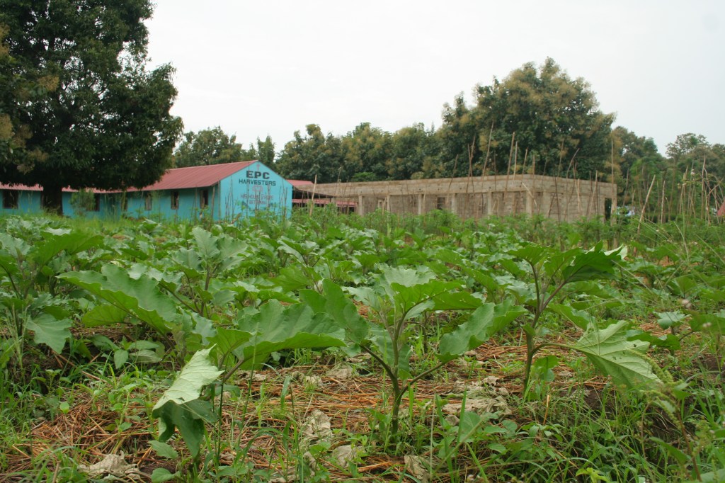 Vision, passion, commitment, &&nbsp;calling