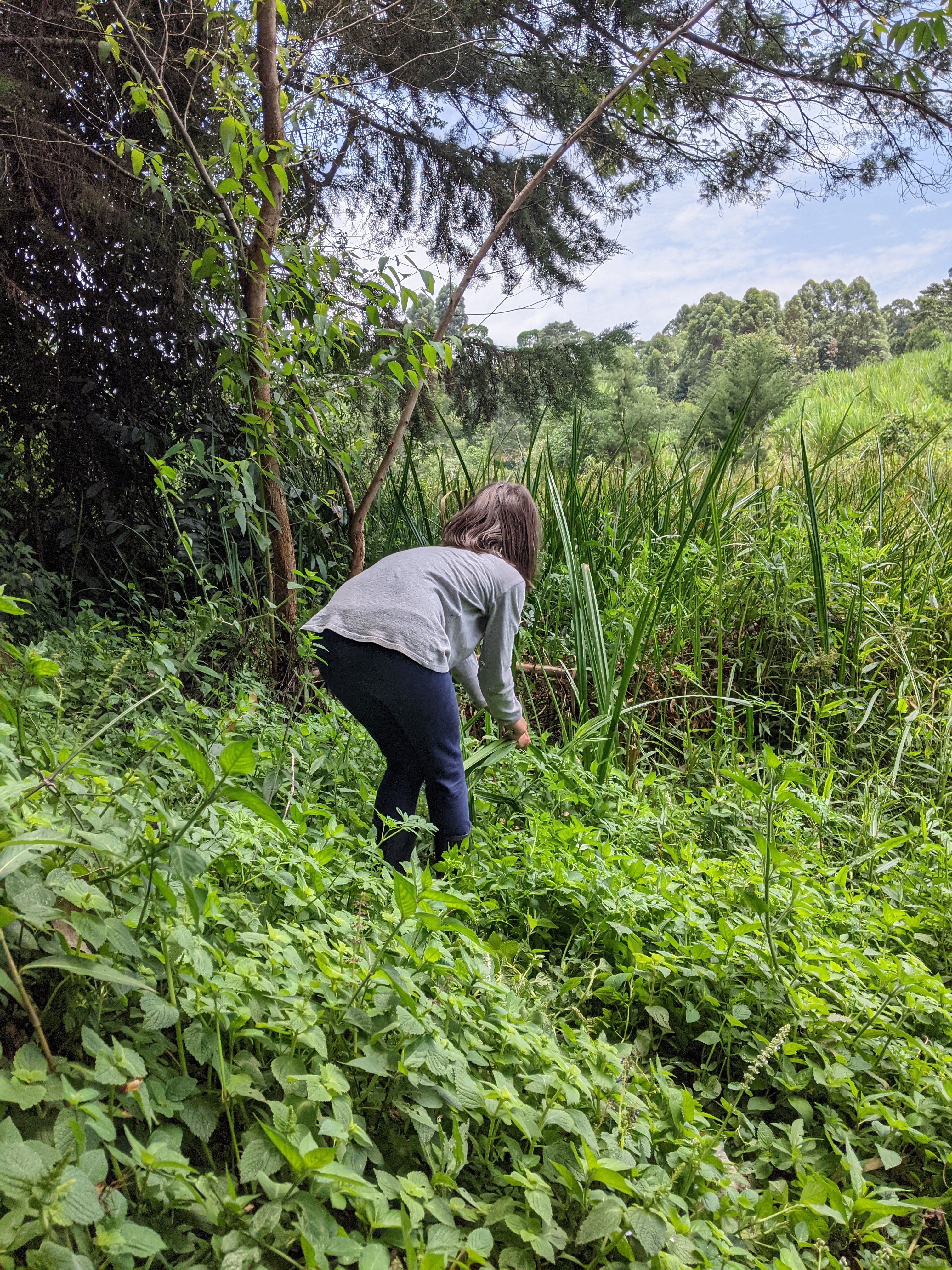 PXL_20210212_093233307