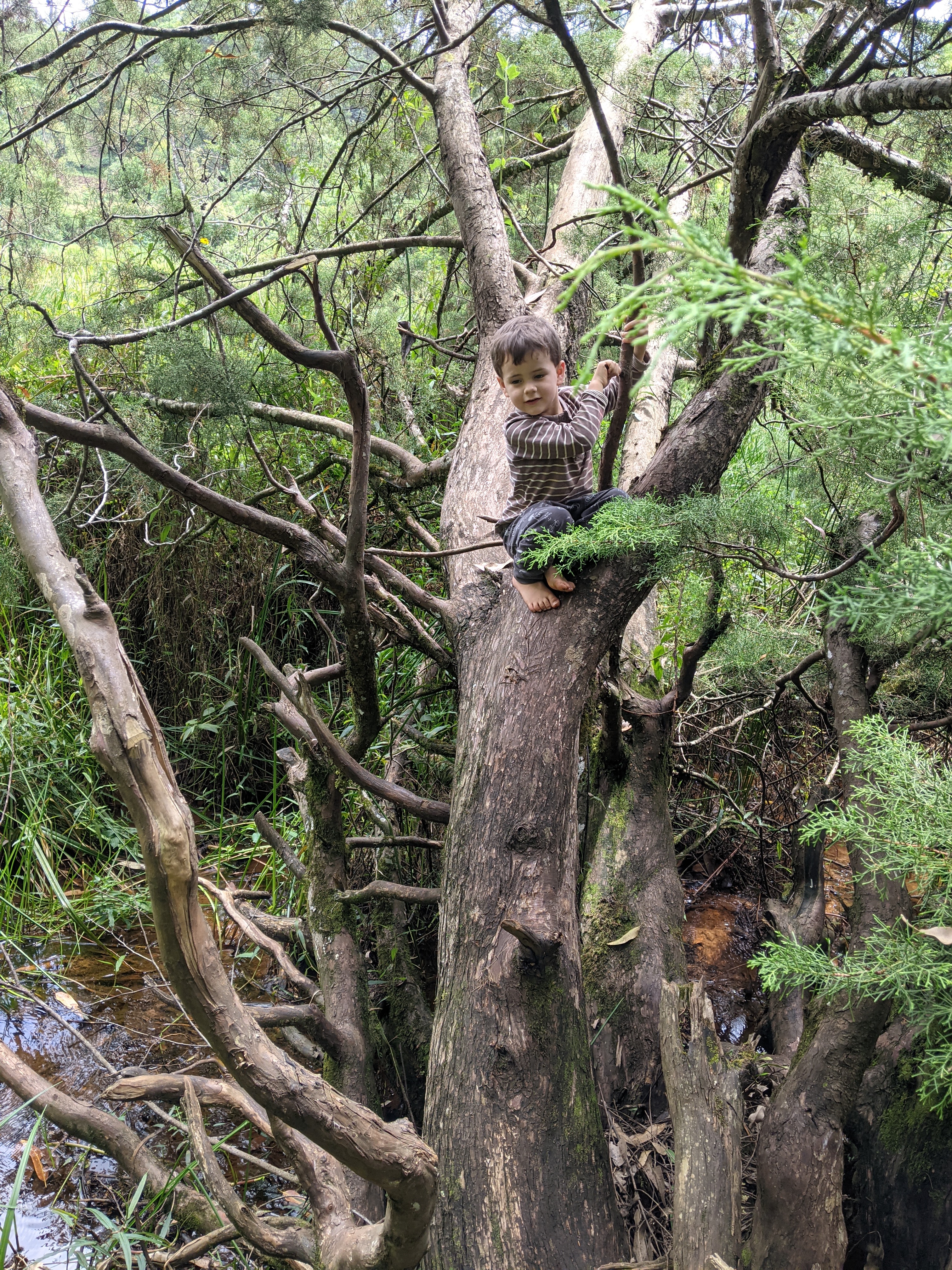 PXL_20210212_093833772.MP