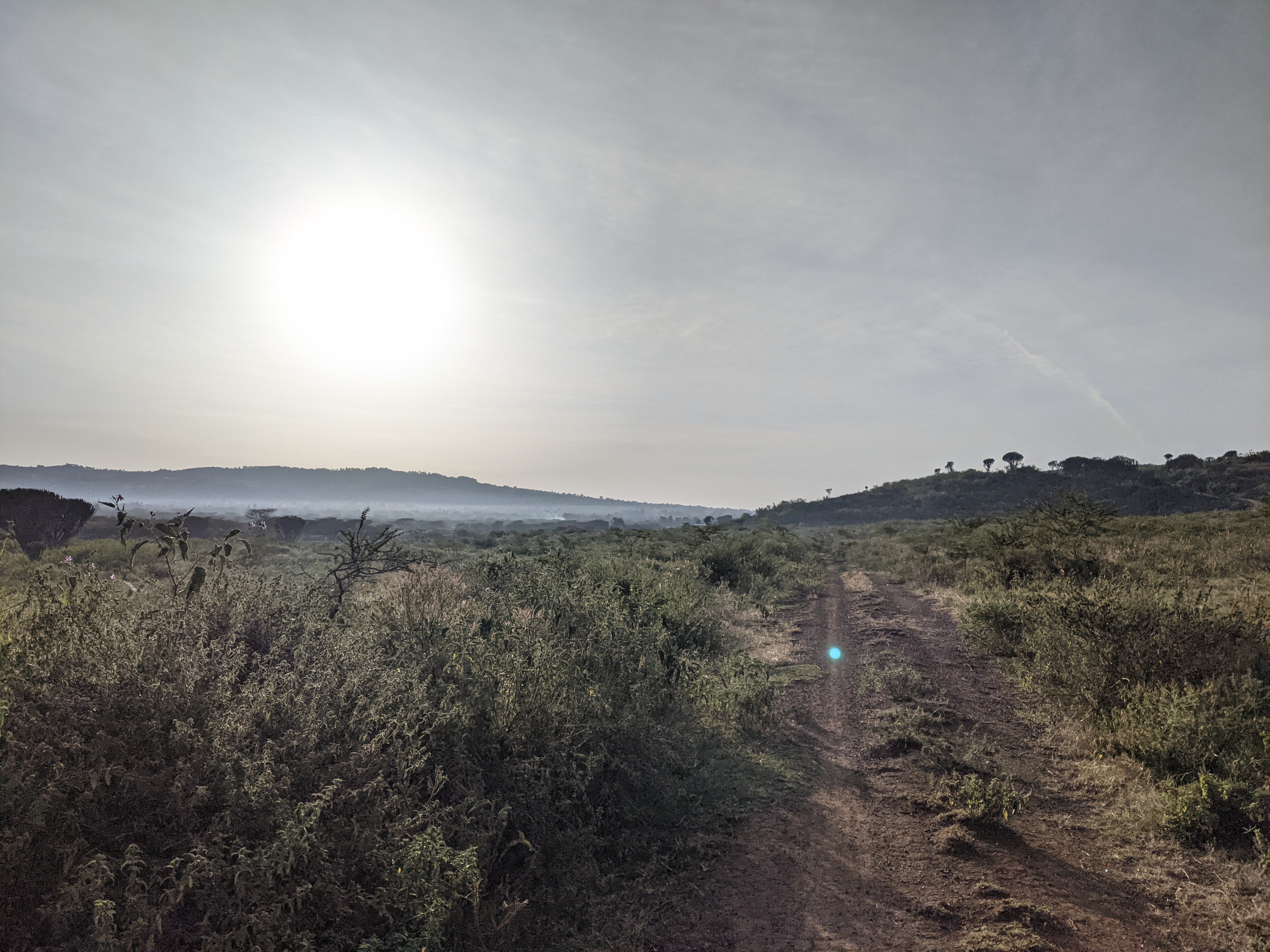 PXL_20210217_044336146