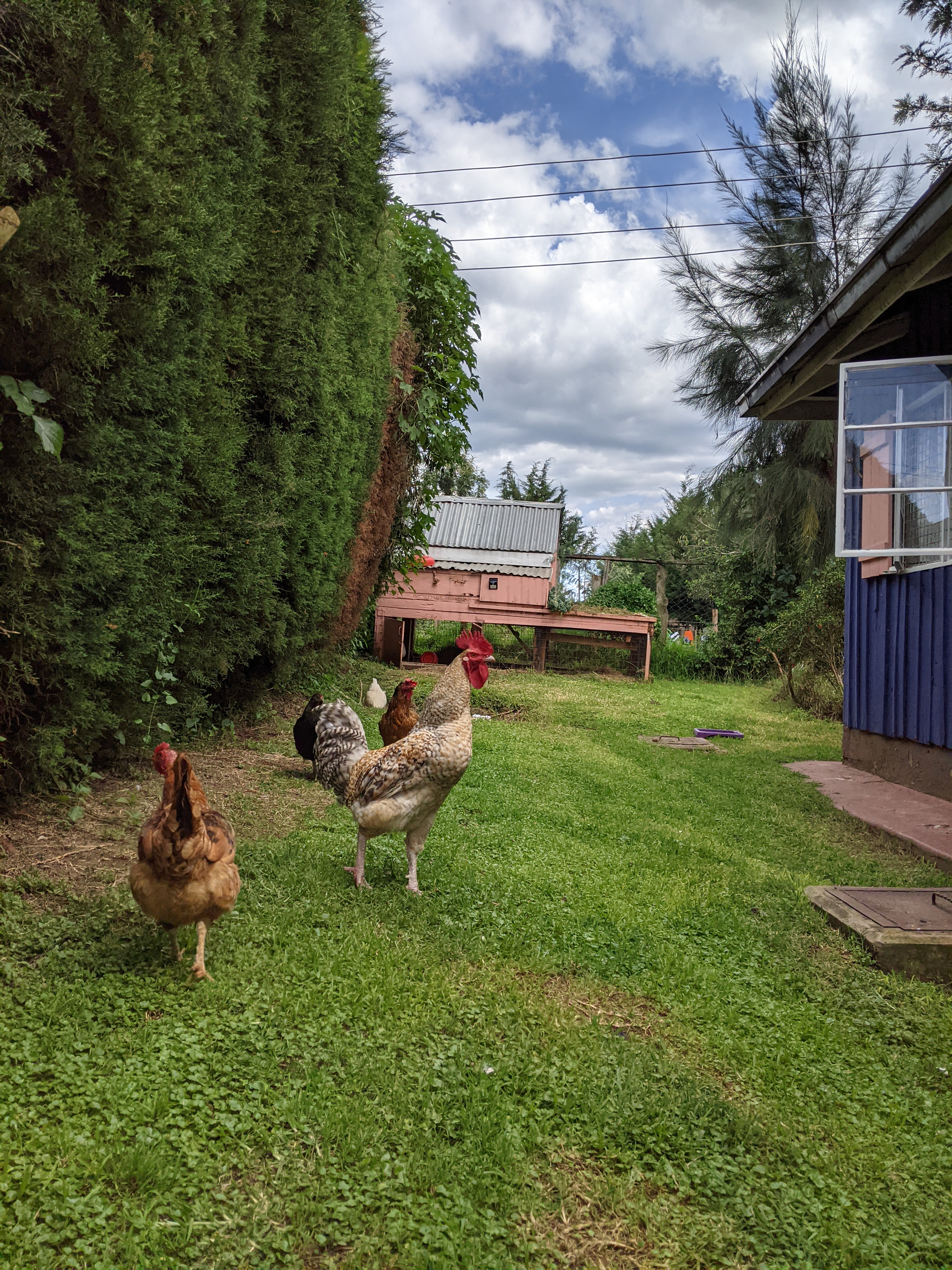 PXL_20211212_112449694