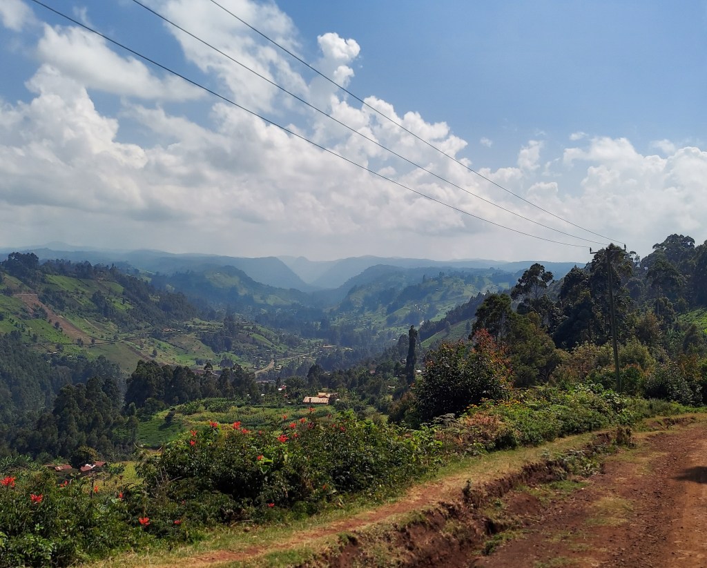 My thesis: Discipline and&nbsp;Flourish